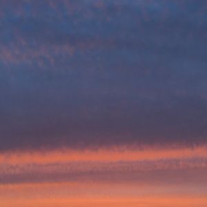 Meet your Posher, Carly